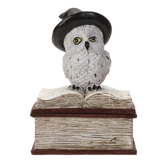 Wizard Owl on Spell book Figurine