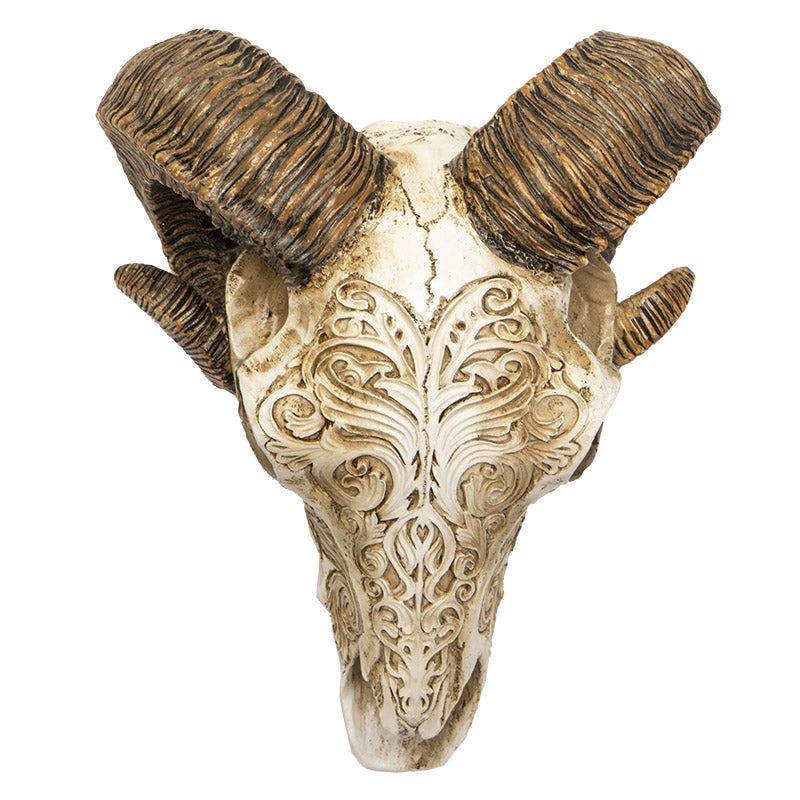 Scrimshaw Ram Skull 7" Tall Sculpted Skull Figurine with Ornate Detailing Textured Horns by Alchemy England