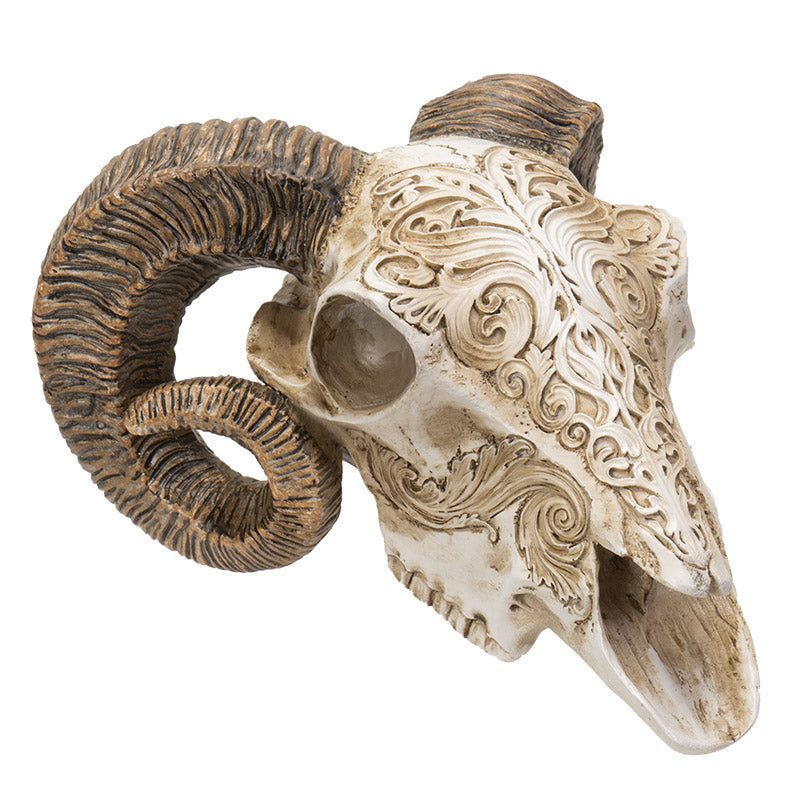 Scrimshaw Ram Skull 7" Tall Sculpted Skull Figurine with Ornate Detailing Textured Horns by Alchemy England