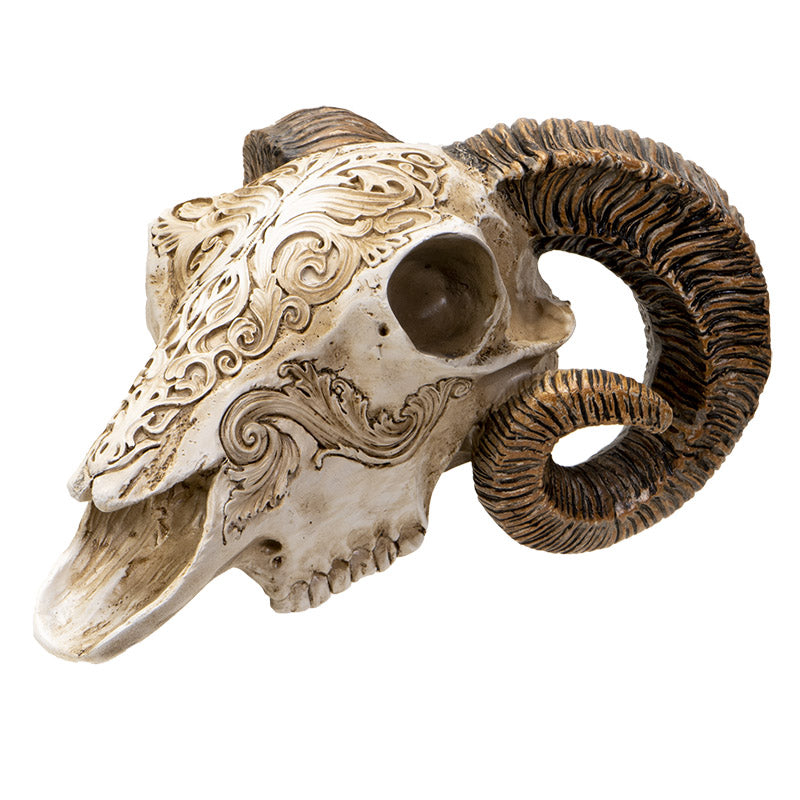 Scrimshaw Ram Skull 7" Tall Sculpted Skull Figurine with Ornate Detailing Textured Horns by Alchemy England