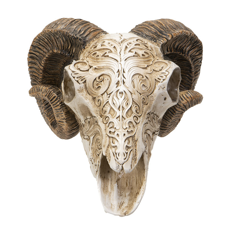 Scrimshaw Ram Skull 7" Tall Sculpted Skull Figurine with Ornate Detailing Textured Horns by Alchemy England