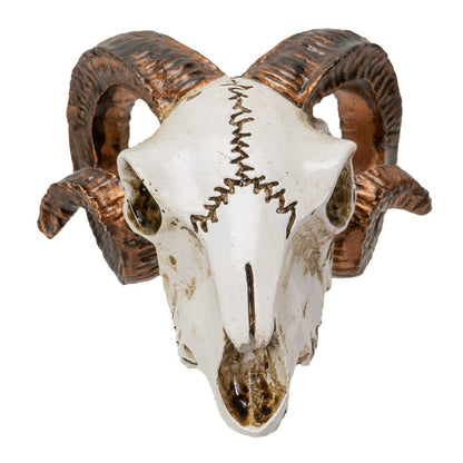 Mini Ram Skull Figurine Polyresin Skeleton Head Tabletop Decor Halloween Micro Landscape Accent by Alchemy England