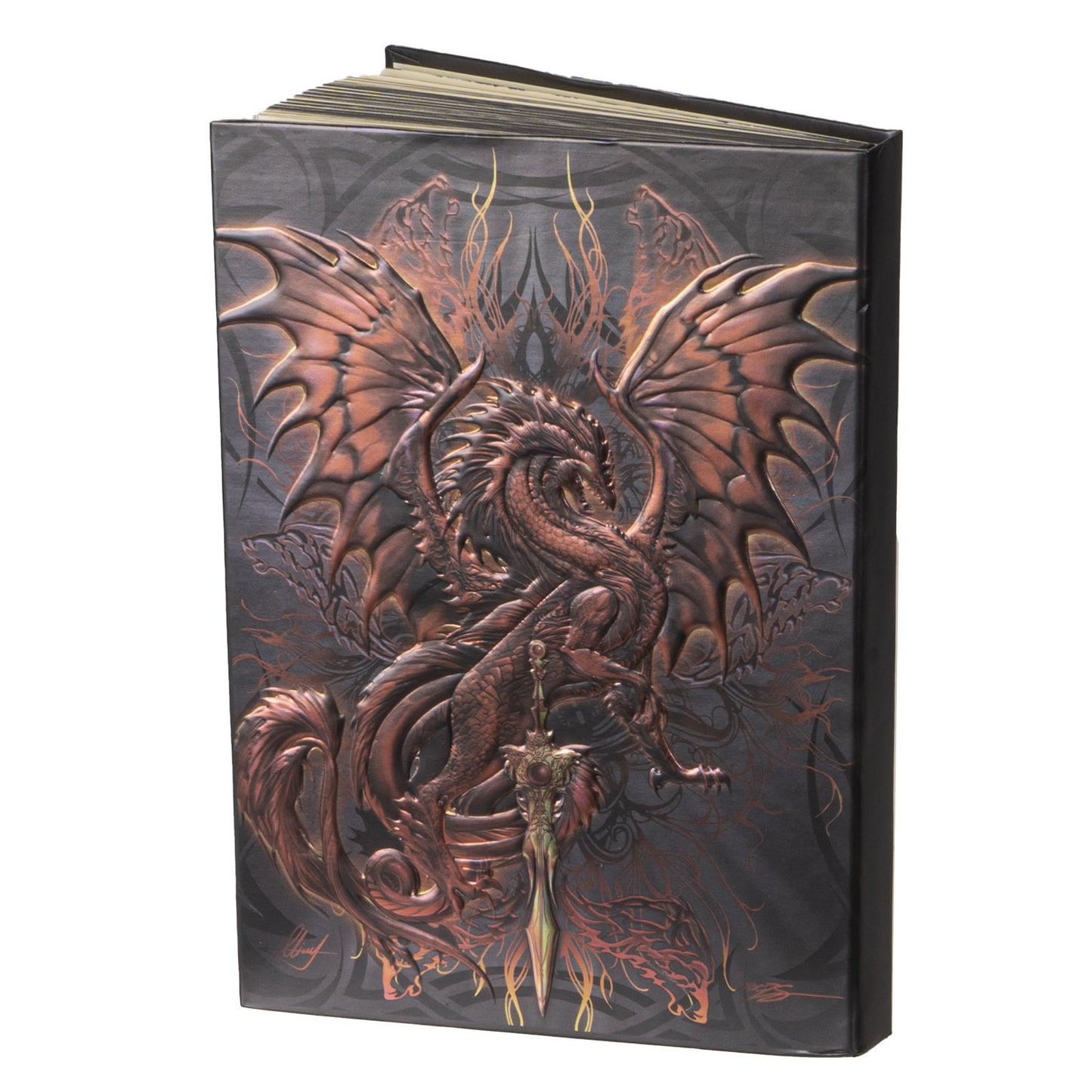 8 Inches Blood Blade Dragon Design Writing Journal with Embossed Cover by Ruth Thompson [hardcover]