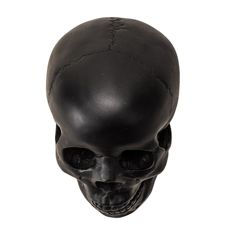 Black Skull Head Collectible Skeleton Sculpture