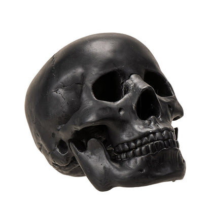 Black Skull Head Collectible Skeleton Sculpture