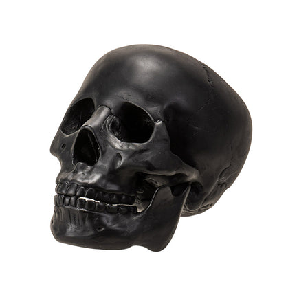 Black Skull Head Collectible Skeleton Sculpture