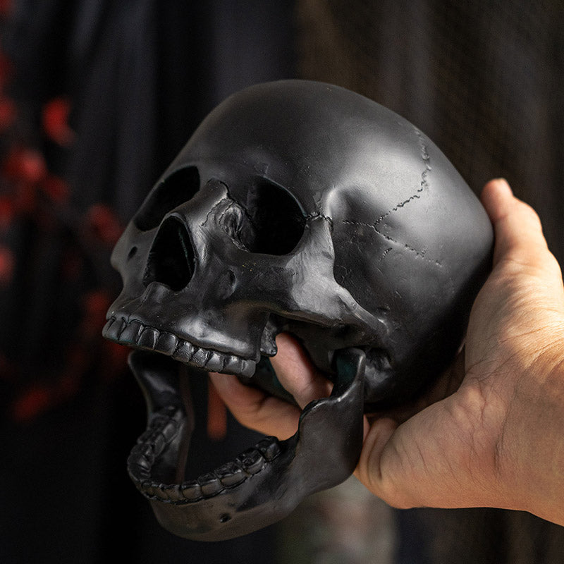 Black Skull Head Collectible Skeleton Sculpture