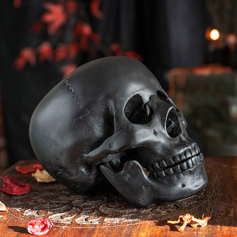 Black Skull Head Collectible Skeleton Sculpture