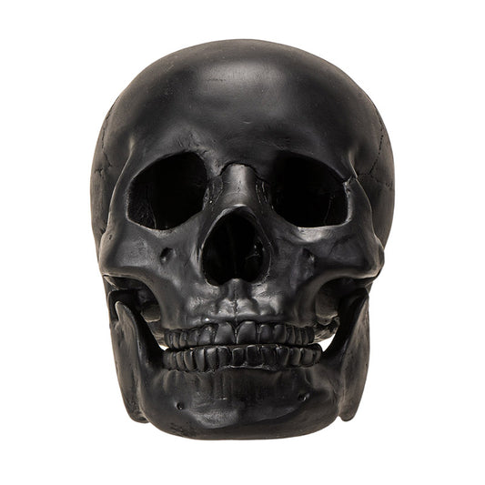 Black Skull Head Collectible Skeleton Sculpture