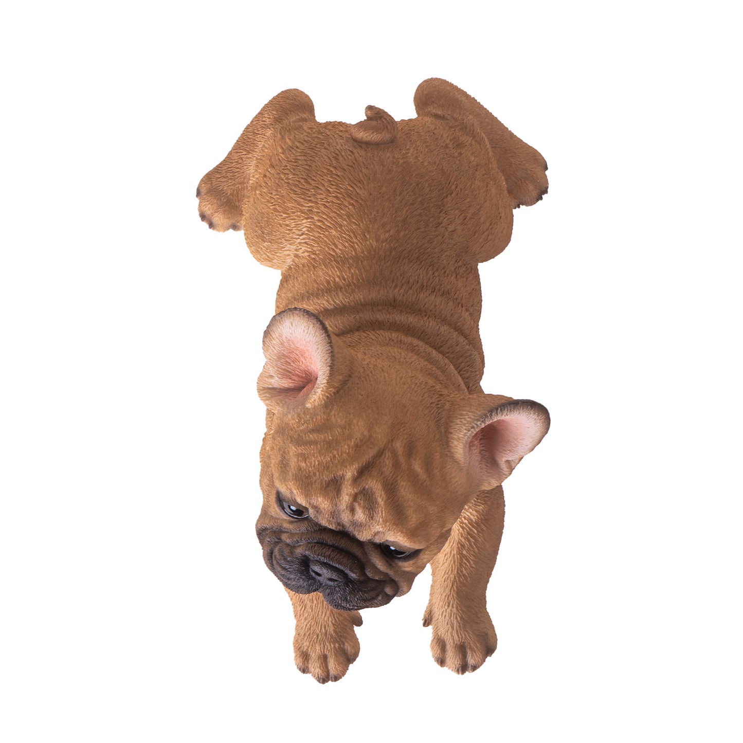 Playful French 8" Long Bulldog Firguine Realistic Tan Frenchie Dog Unique Collectible Decor Gift for Pet Lovers and Home Decor