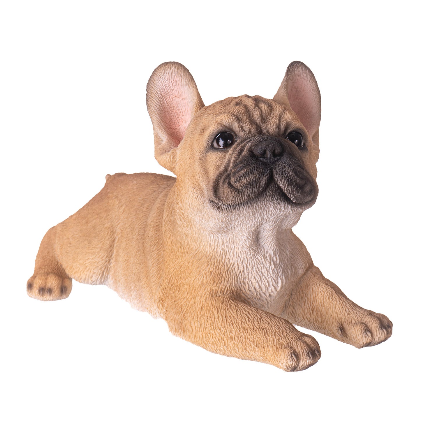 Playful French 8" Long Bulldog Firguine Realistic Tan Frenchie Dog Unique Collectible Decor Gift for Pet Lovers and Home Decor