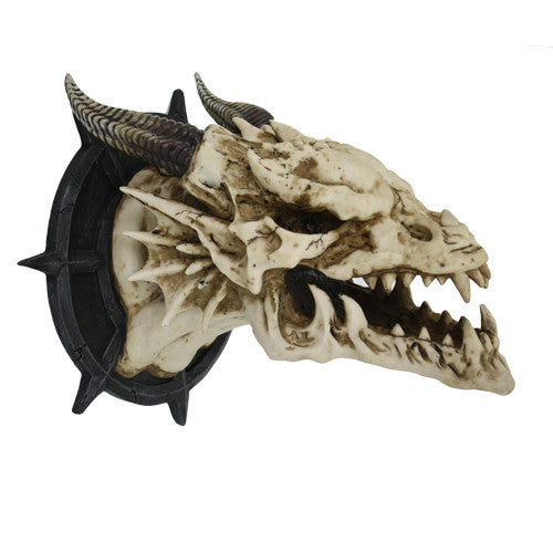 real dragon skull