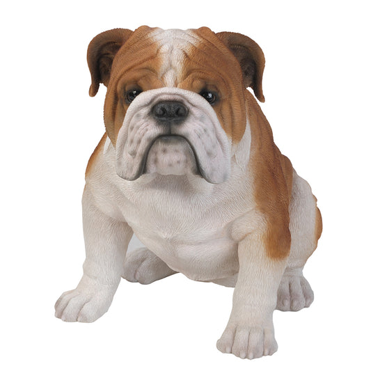 Realistic English Bulldog Statue Glass Eyes Bully Red White