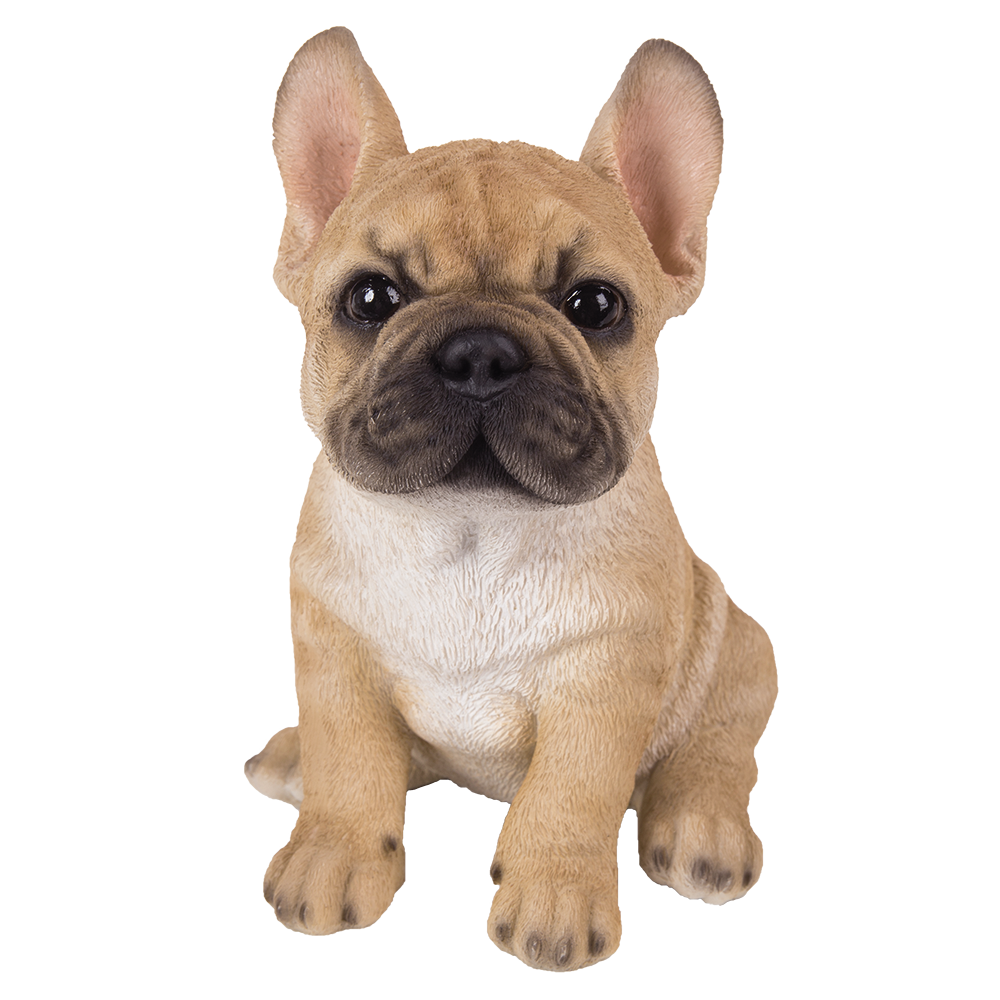 Adorable French Bulldog Pup Life Like Puppy AKC Glass Eyes