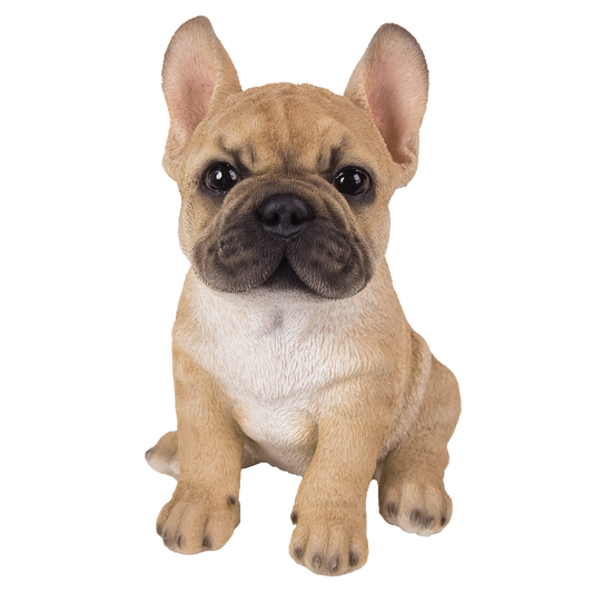 Adorable French Bulldog Pup Life Like Puppy AKC Glass Eyes