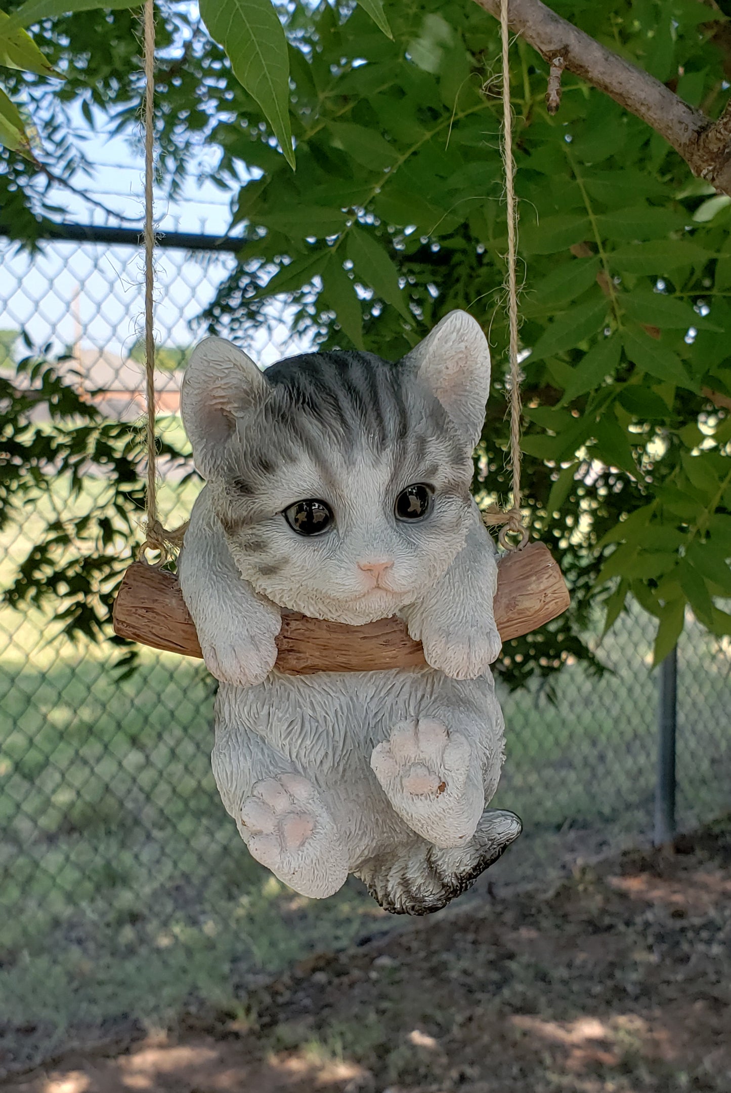 Loving Fluffy Kitten Hanging on a Branch Swing Playful Kitty Glass Eyes