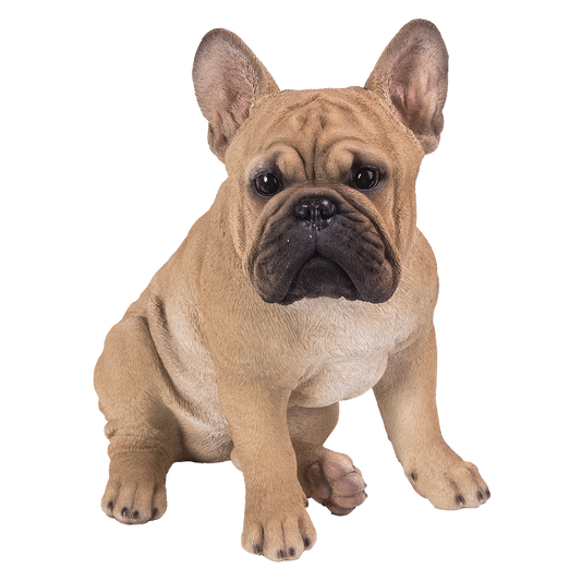 Large Realistic French Bulldog Statue Glass Eyes Figurine Frenchie