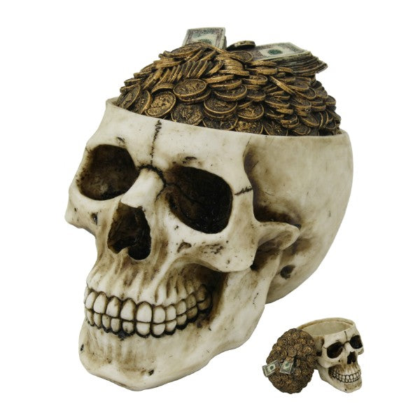 Money Coins Top Cranium Human Skull Holder Box Trinket Container