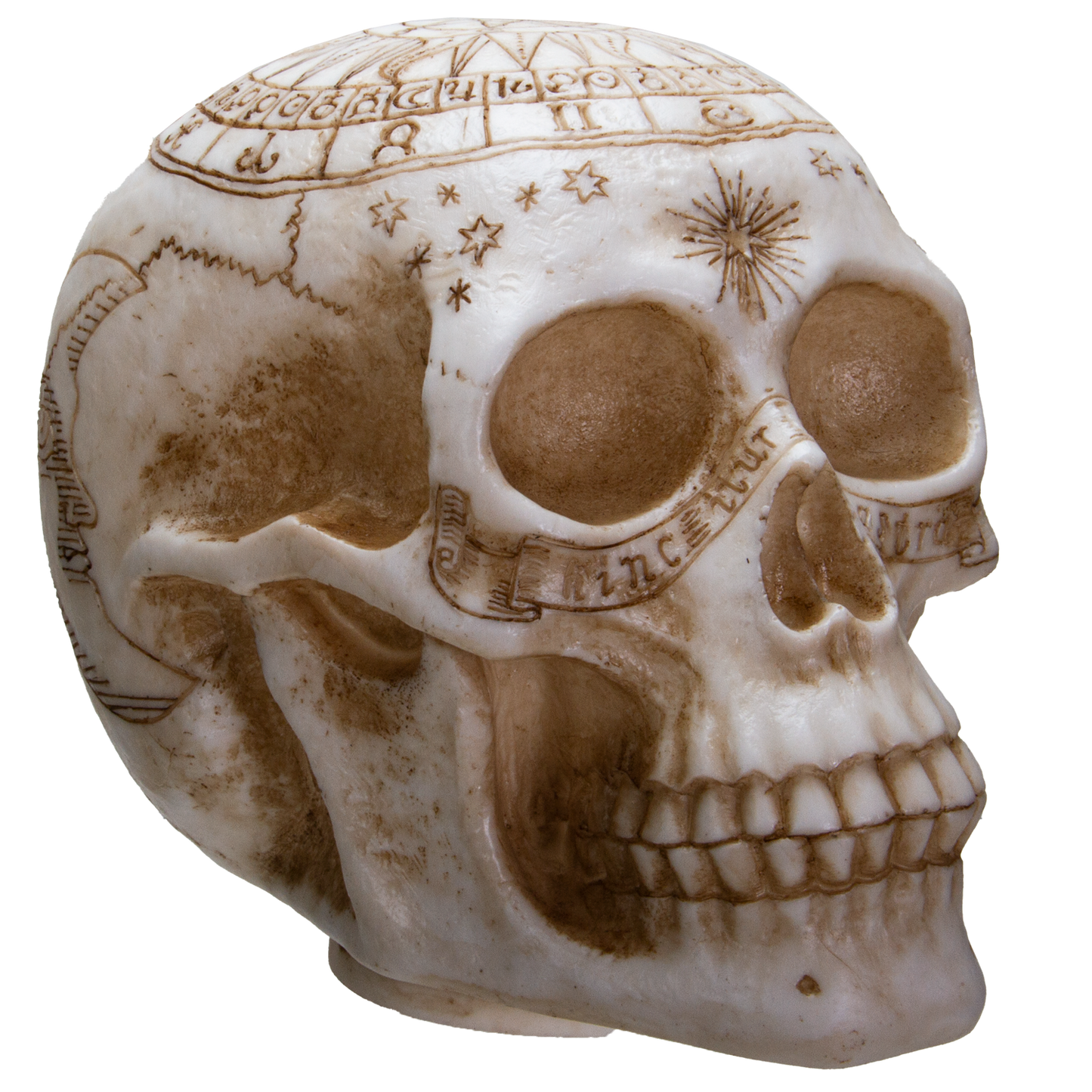 Astrology Skull Home Decor LED Lamp with Two USB Charging Ports, White