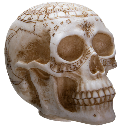 Astrology Skull Home Decor LED Lamp with Two USB Charging Ports, White