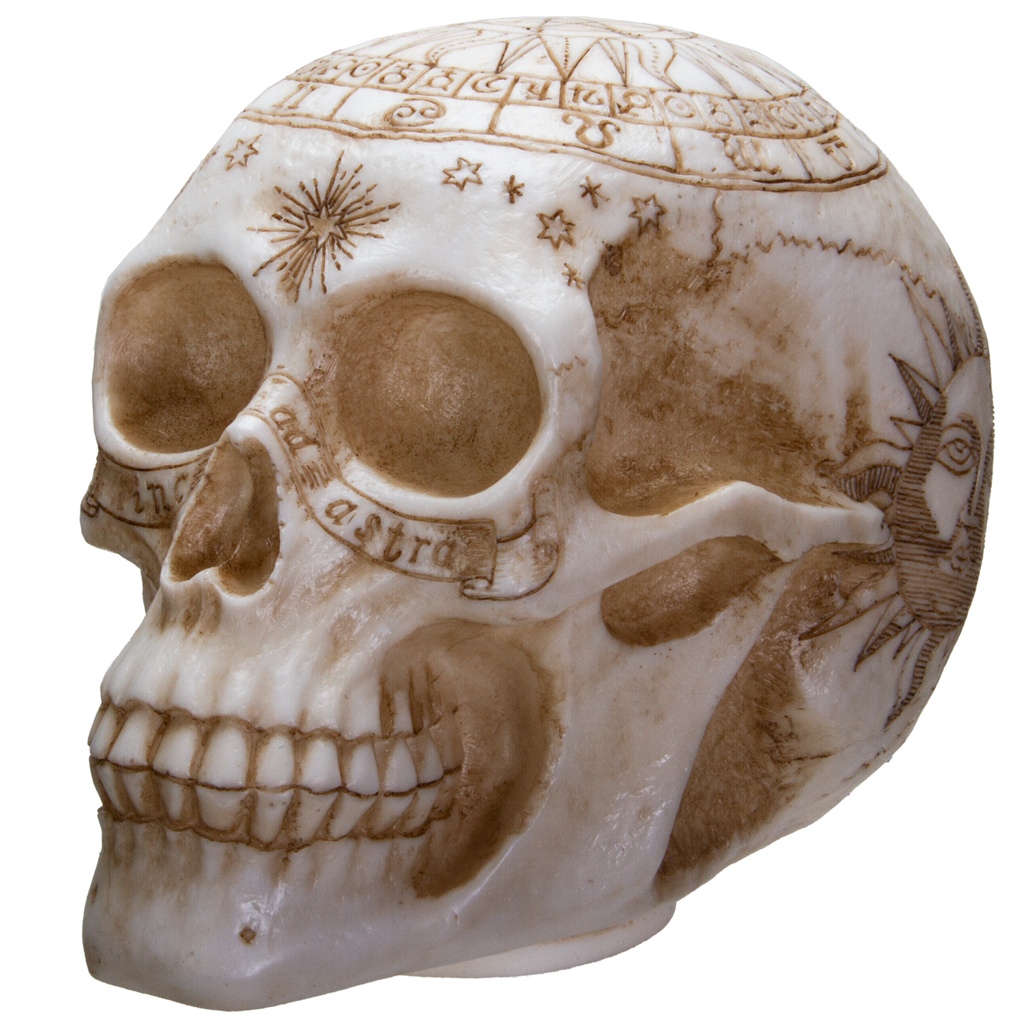 Astrology Skull Home Decor LED Lamp with Two USB Charging Ports, White