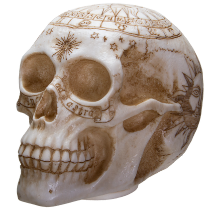 Astrology Skull Home Decor LED Lamp with Two USB Charging Ports, White