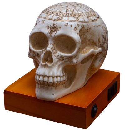 Astrology Skull Home Decor LED Lamp with Two USB Charging Ports, White