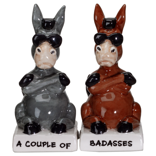 A Couple of Baddasses Ceramic Salt and Pepper Shakers Set