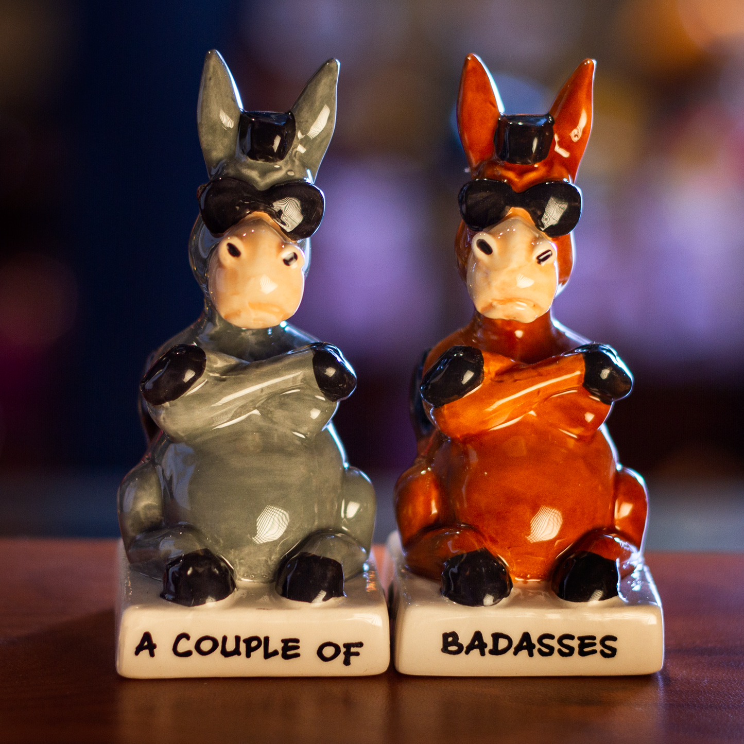 A Couple of Baddasses Ceramic Salt and Pepper Shakers Set