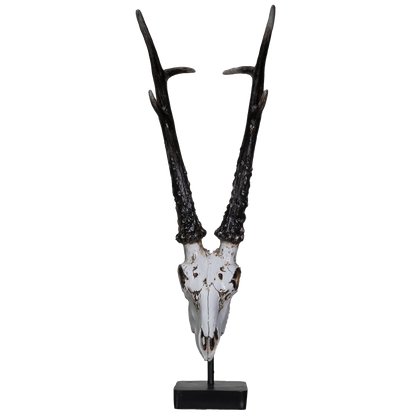 Polystone Antelope Skull with Antler Horns on Metal Stand Home Decorative Accent Faux Taxidermy Animal Trophy 19.75 in