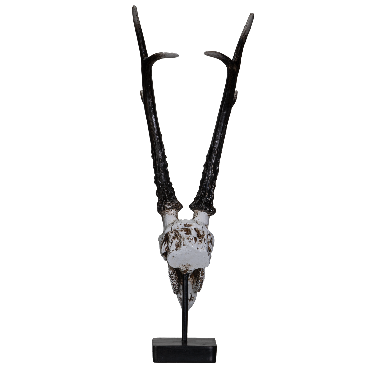 Polystone Antelope Skull with Antler Horns on Metal Stand Home Decorative Accent Faux Taxidermy Animal Trophy 19.75 in