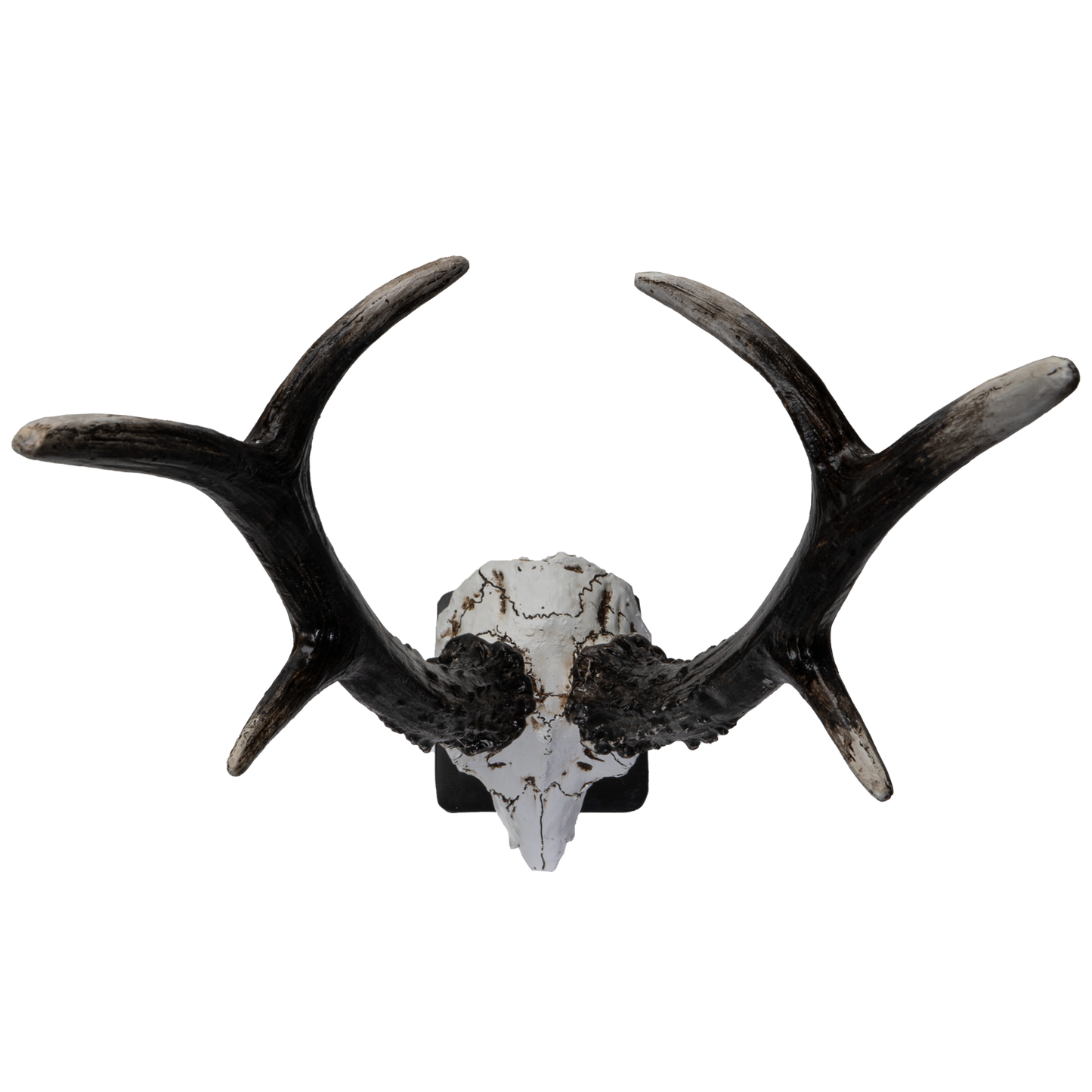 Polystone Antelope Skull with Antler Horns on Metal Stand Home Decorative Accent Faux Taxidermy Animal Trophy 19.75 in