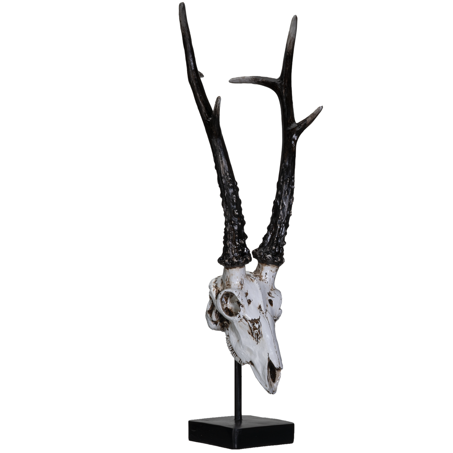 Polystone Antelope Skull with Antler Horns on Metal Stand Home Decorative Accent Faux Taxidermy Animal Trophy 19.75 in