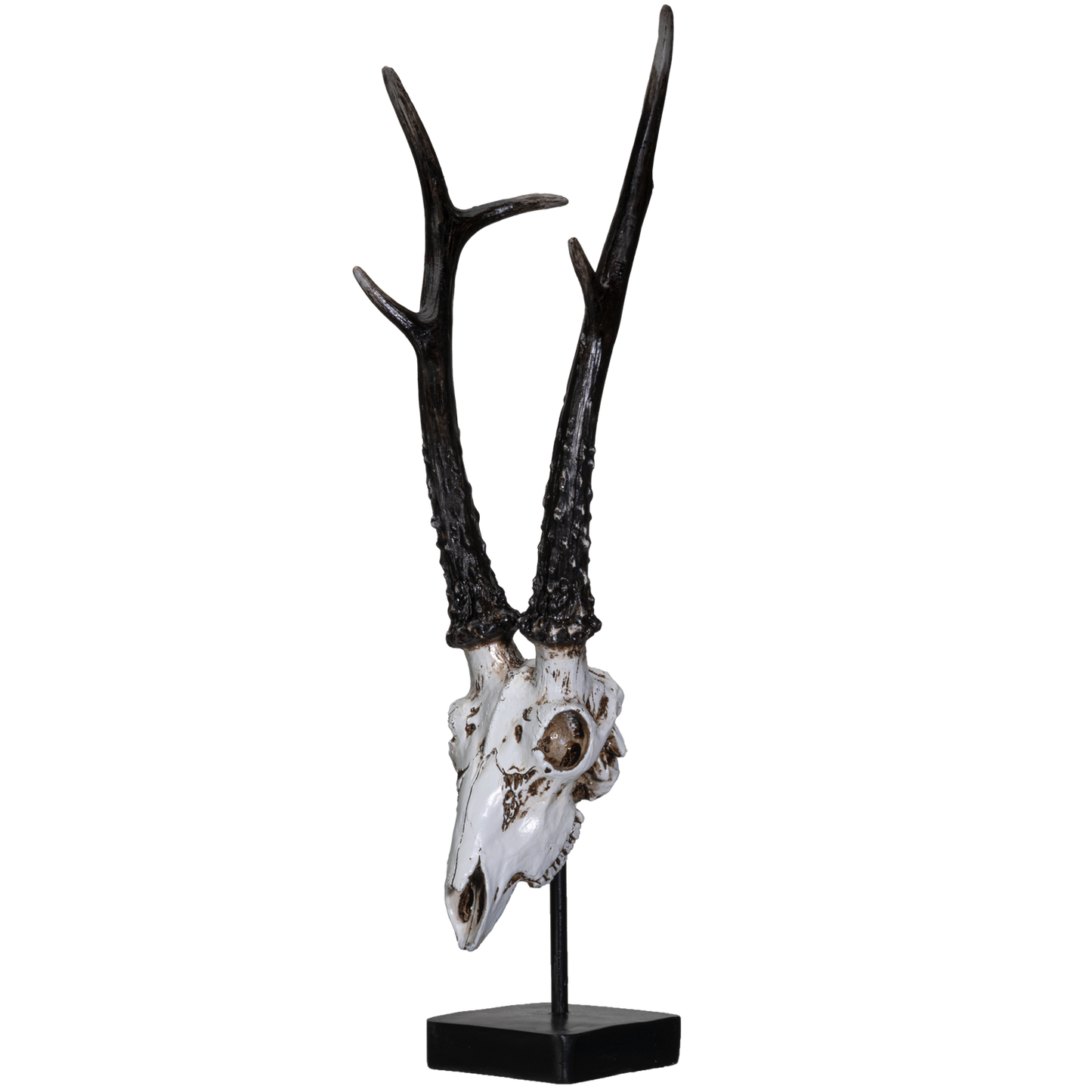 Polystone Antelope Skull with Antler Horns on Metal Stand Home Decorative Accent Faux Taxidermy Animal Trophy 19.75 in