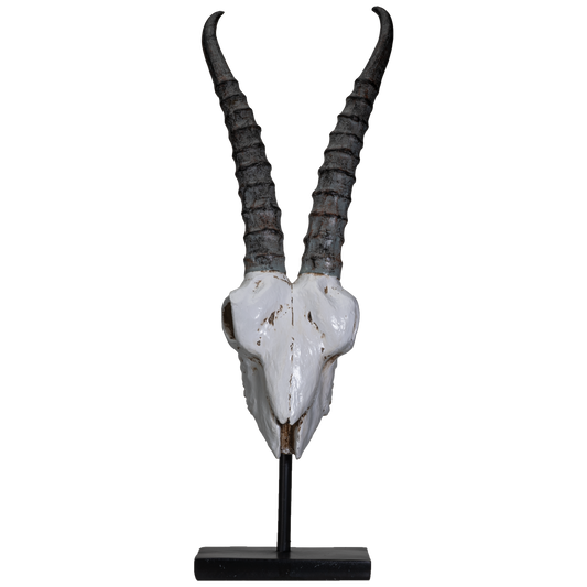 Polystone Springbok Skull with Antler Horns on Metal Stand Home Decorative Accent Faux Taxidermy Animal Trophy 29.5 in