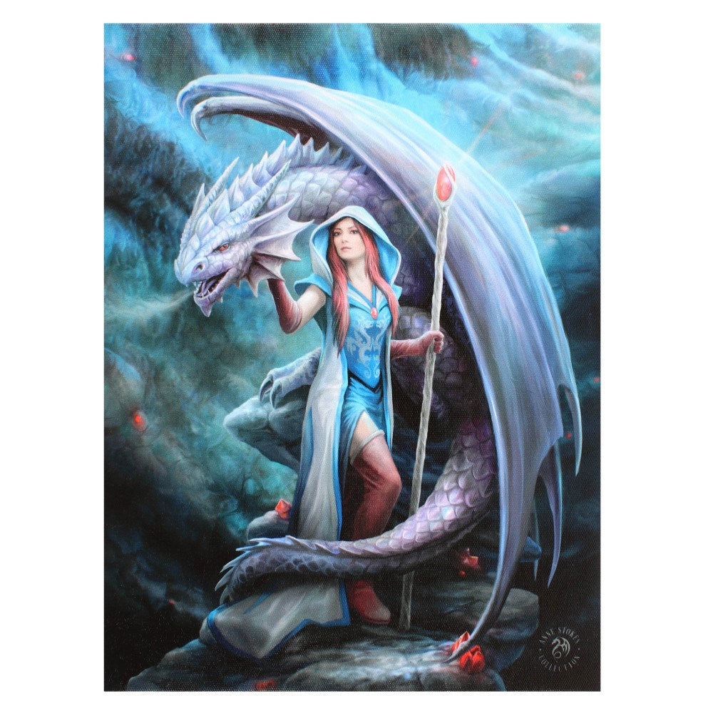 Fantasy World Dragon Mage Picture Canvas Framed Wall Art Wall Plaque -7.5"W x 9.85"H