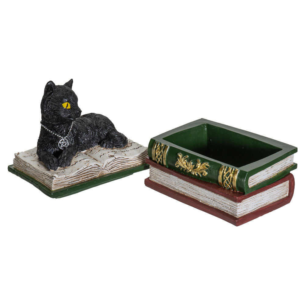 Magic Wiccan Black Cat Trinket Resin Figurine Box