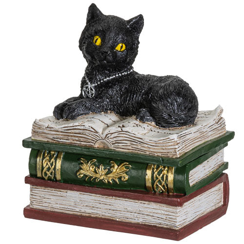 Magic Wiccan Black Cat Trinket Resin Figurine Box