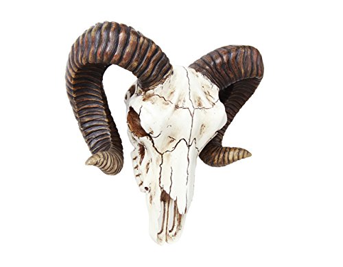 Ram Skull and Horns Baphomet Wall Trophy Decor 11 Inch