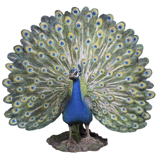 Majestic Peacock Spreading Its Proud Wings Colorful Plumage Statue Life Size