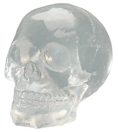 Clear Translucent Skull Collectible Figurine