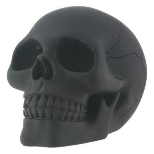 Black Skull Head Collectible Skeleton Decoration Figurine