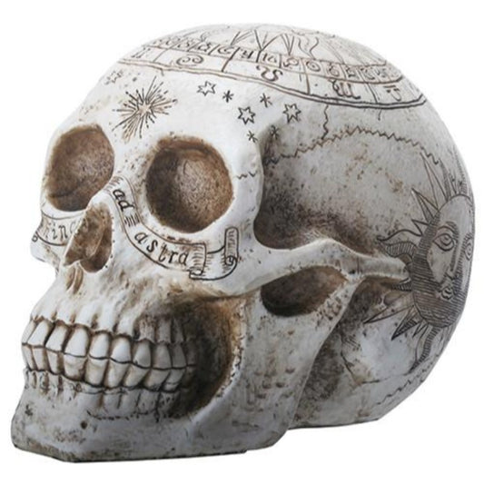 YTC 7.75 Inch Resin Skull with Astrology Engravings, White Colored