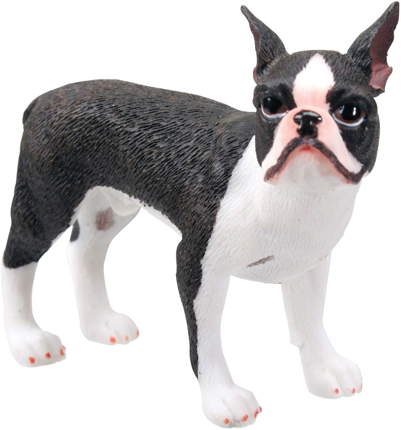 Boston Terrier, SS-5021