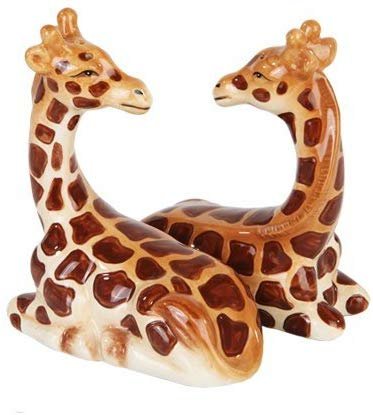 Salt & Pepper Shakers - Giraffe Magnetic Salt And Pepper Shakers