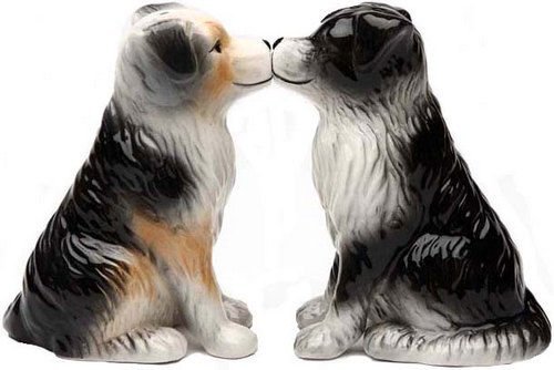 Australian Shepherd Dogs 3 3/4'' tall Magnetic Salt and Pepper Shakers