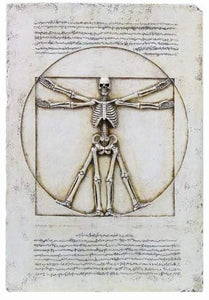 Vitruvian Skeleton Plaque Statue