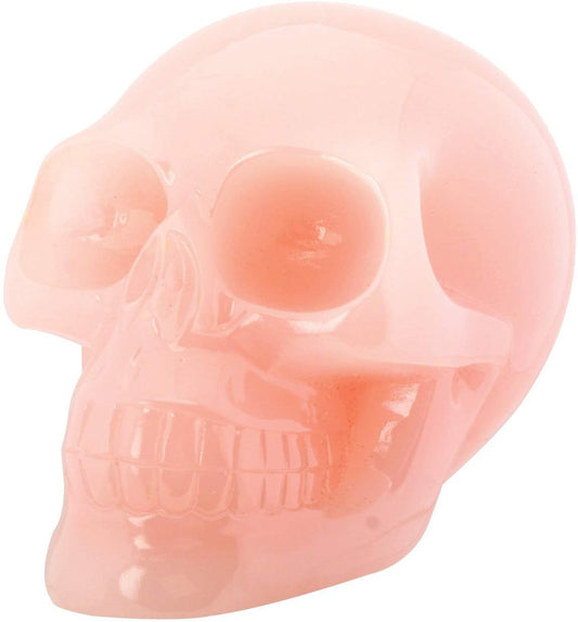 Resin Skull - Collectible Figurine Statue Sculpture Figure Skeleton