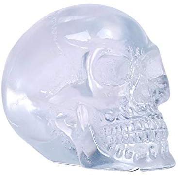 Pacific Giftware Clear Translucent Skull Collectible Home Decor Resin