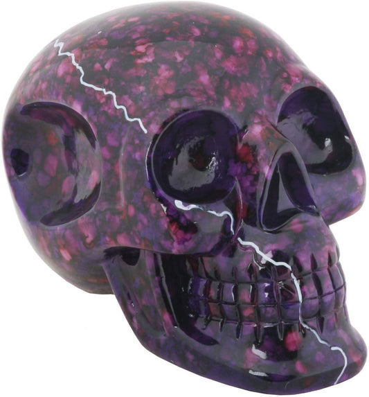 Resin Skull - Collectible Figurine Statue Sculpture Figure Skeleton